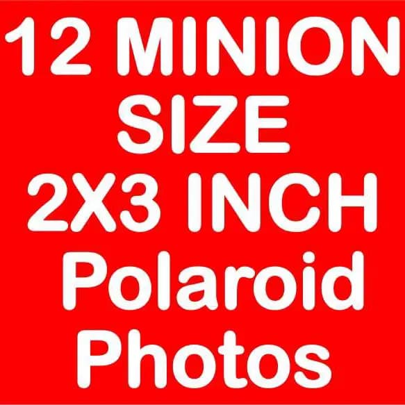 Minion Size 2x3 Inch Polaroid Pictures