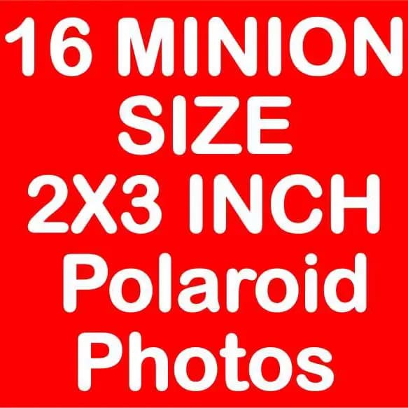 Minion Size 2x3 Inch Polaroid Pictures
