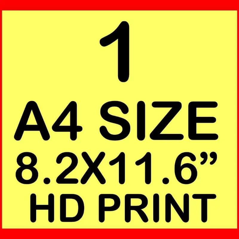 A4 Size Print
