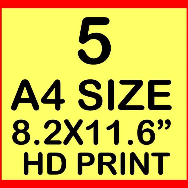 A4 Size Print
