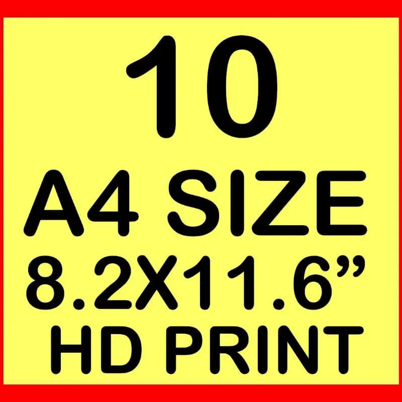 A4 Size Print