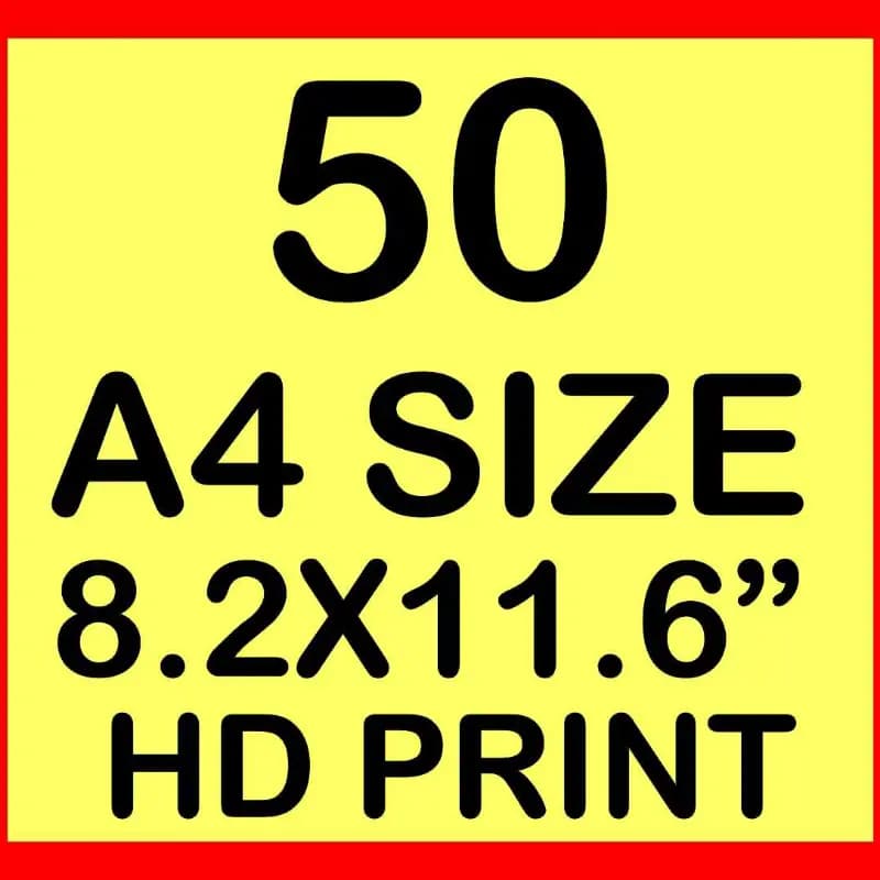 A4 Size Print