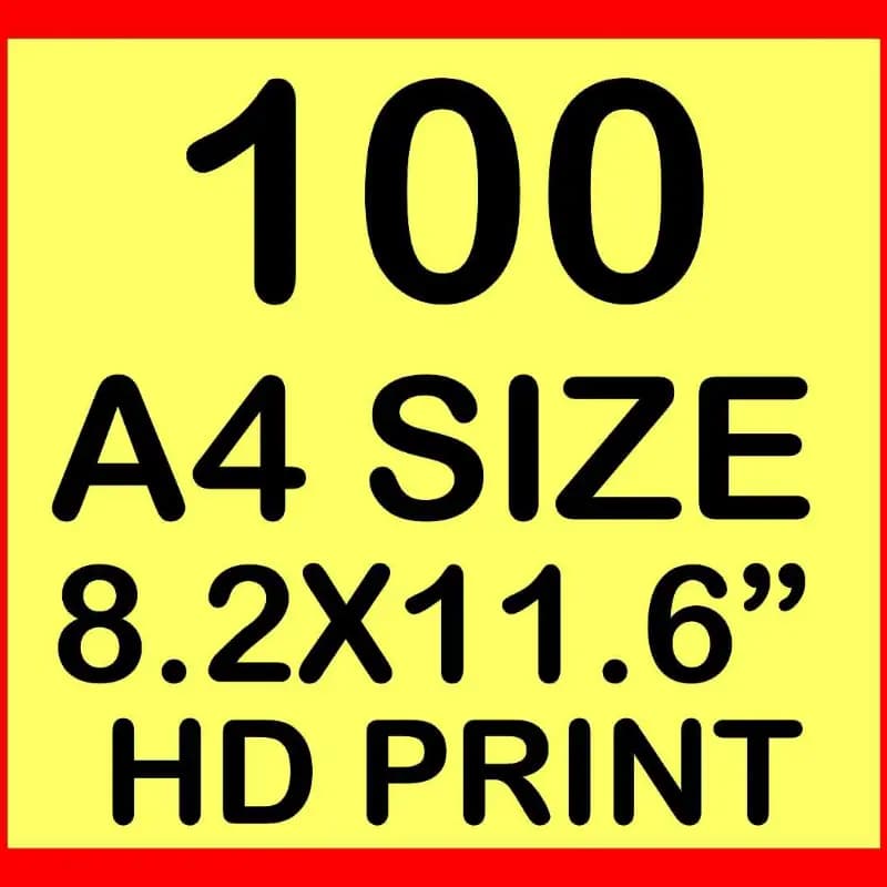 A4 Size Print